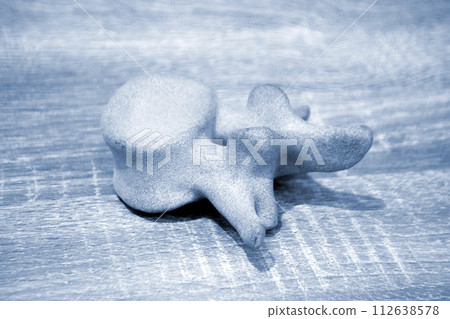 Prototype model of human vertebra 3D printed from polyamide powder. Technology Multi Jet Fusion MJF. Three-dimensional model printed on 3D printer from plastic. Additive progressive powder technology Prototype model of human vertebra 3D printed from polyamide powder. Technology Multi Jet Fusion MJF. Three-dimensional model printed on 3D printer from plastic. Additive progressive powder technology 112638578