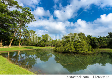 Sigiriya Rock Under Blue Sky, Sri Lanka. Sigiriya Rock Under Blue Sky, Sri Lanka. 112639486