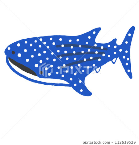 Whale shark Whale shark 112639529