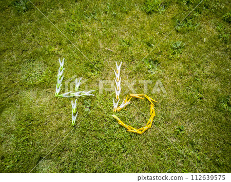 Number 46 made from clothes pegs lying on the lawn Number 46 made from clothes pegs lying on the lawn 112639575