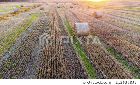 Many bales of wheat straw twisted into rolls with long shadows after wheat harvest lie on field during sunset sunrise. Flying over straw bales rolls on field. Aerial drone view. Agricultural landscape Many bales of wheat straw twisted into rolls with long shadows after wheat harvest lie on field during sunset sunrise. Flying over straw bales rolls on field. Aerial drone view. Agricultural landscape 112639835