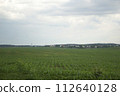 Bright landscape of a green field with a greyish sky above 112640128