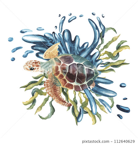 Watercolor sea turtle with seaweed and water splashes , algae. illustration for greeting cards, invitations, and other printing and web projects. Eco concept 112640629