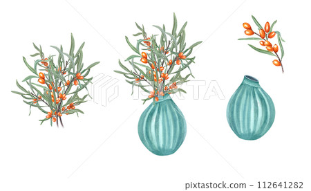 Bouquet of sea buckthorn in ceramic vase. Orange berries, green leaves, flowerpot. For interior decoration, comfort. Watercolor illustration isolated on white background. Bouquet of sea buckthorn in ceramic vase. Orange berries, green leaves, flowerpot. For interior decoration, comfort. Watercolor illustration isolated on white background. 112641282