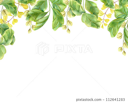 Horizontal frame with green plants. Houseplant, fiddle leaf fig. Meadow herbs. Huge green leaf branches. Watercolor illustration isolated on white background. Copy space for text Horizontal frame with green plants. Houseplant, fiddle leaf fig. Meadow herbs. Huge green leaf branches. Watercolor illustration isolated on white background. Copy space for text 112641283