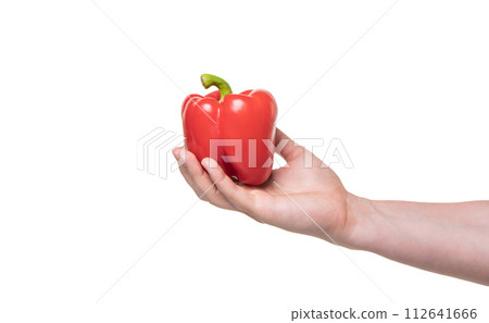 sweet pepper vegetable in hand isolated on white background sweet pepper vegetable in hand isolated on white background 112641666