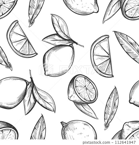 Lemon seamless pattern. Hand drawn citrus fruit 112641947