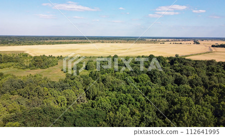 Green deciduous forest next to a farm field. Landscape from a bird's eye view. Sunny weather. 112641995