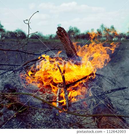 Bright orange flames are visible consuming the dry materials; greyish-white smoke billows upwards into the clear sky. Illegal burning of leaves and dry grass. Bright orange flames are visible consuming the dry materials; greyish-white smoke billows upwards into the clear sky. Illegal burning of leaves and dry grass. 112642003