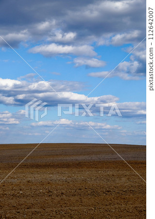 Horizon view of an open field with scattered clouds above. Horizon view of an open field with scattered clouds above. 112642007
