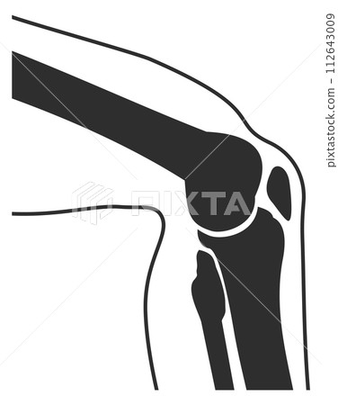 Human knee joint black silhouette. Anatomy illustration Human knee joint black silhouette. Anatomy illustration 112643009