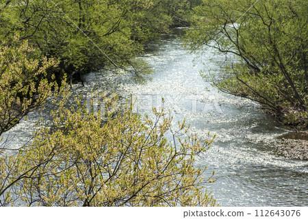 Shuta River, Kuromatsunai Town, Hokkaido, flowing through fresh greenery in spring Shuta River, Kuromatsunai Town, Hokkaido, flowing through fresh greenery in spring 112643076