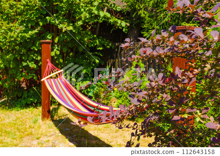 Hammock in garden Hammock in garden 112643158