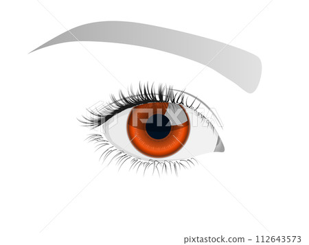 美麗的眼睛（特寫） 112643573