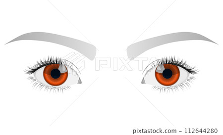 美麗的眼睛（特寫） 112644280