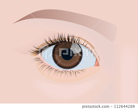 Beautiful eyes (close-up) 112644289