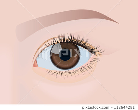 Beautiful eyes (close-up) 112644291
