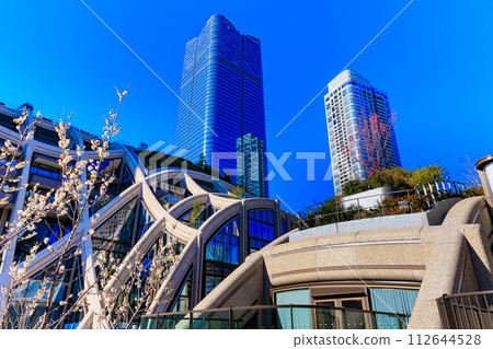 東京港區麻布台山的市區景觀 東京港區麻布台山的市區景觀 112644528