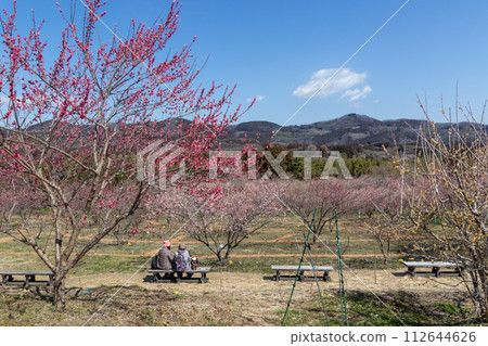 Akima Plum Grove, Annaka City, Gunma Prefecture Akima Plum Grove, Annaka City, Gunma Prefecture 112644626