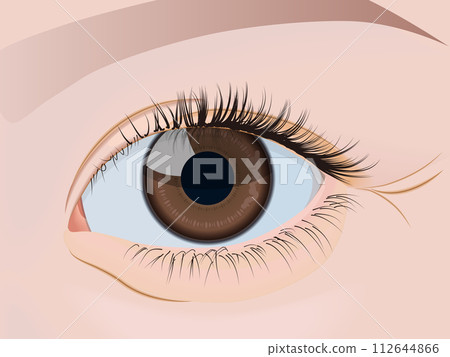 black eyes under the eyes black eyes under the eyes 112644866