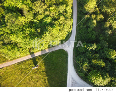 Nature and landscape: aerial view of a forest and a naturalistic path,  112645008