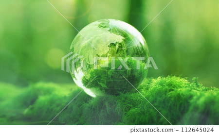 The mystery of the moss garden and the glass globe 112645024