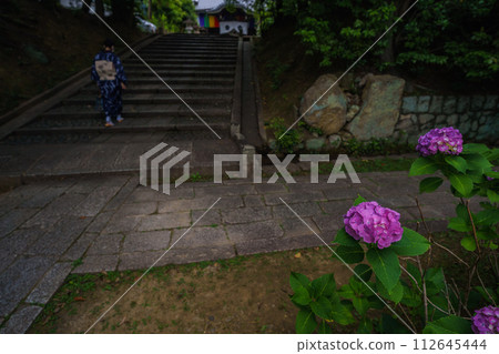 Photographing hydrangeas blooming during the rainy season at Chishakuin, Higashiyama Ward, Kyoto City 112645444