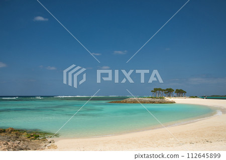 國立沖繩紀念公園翡翠海灘[沖繩縣國頭郡本部町] 112645899