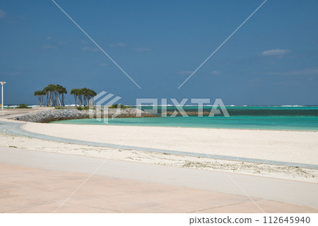 國立沖繩紀念公園翡翠海灘[沖繩縣國頭郡本部町] 112645940