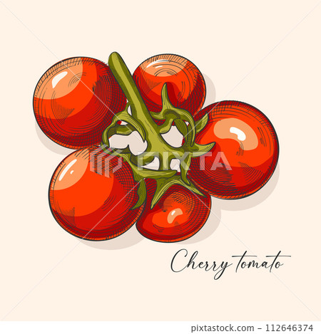 Tomato vector drawing . Artistic style illustration. Detailed vegetarian food sketch. Farm market product. Great for label, banner, poster Tomato vector drawing . Artistic style illustration. Detailed vegetarian food sketch. Farm market product. Great for label, banner, poster 112646374
