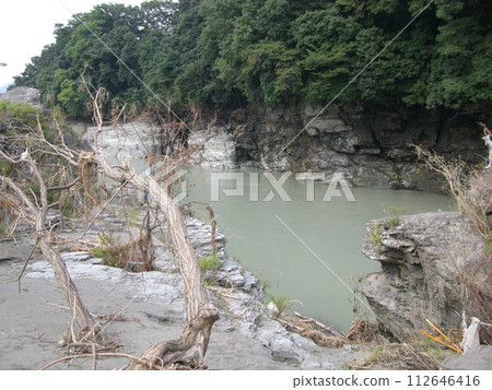 landscape with dead trees landscape with dead trees 112646416
