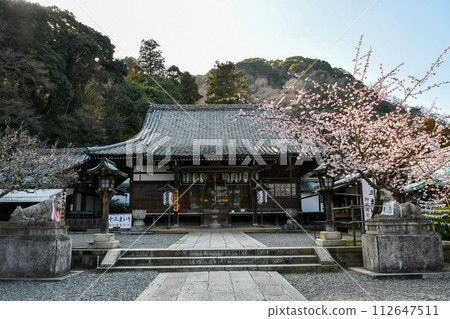 京都嵐山法輪寺和櫻花 112647511