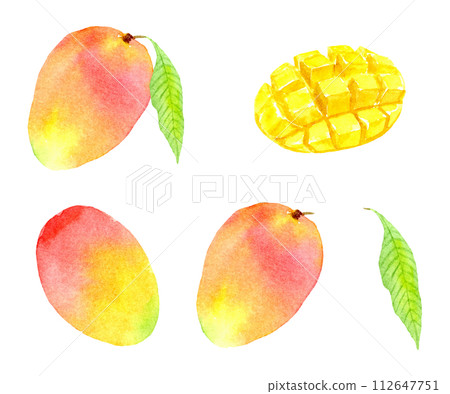 Watercolor mango set Watercolor mango set 112647751