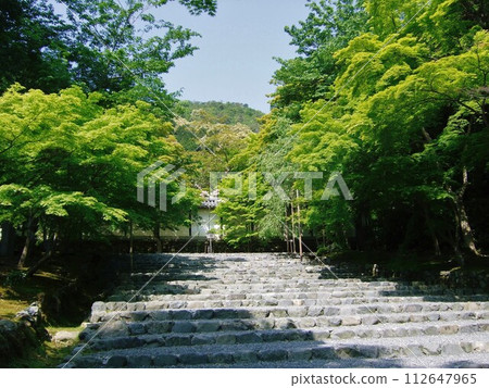 Scenery of Nison-in Temple during the time of fresh greenery Scenery of Nison-in Temple during the time of fresh greenery 112647965