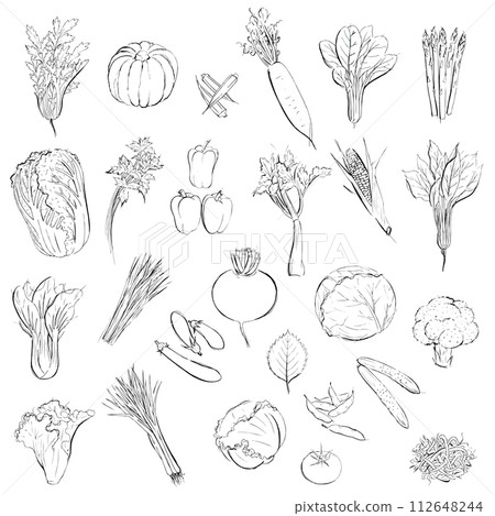 手繪線描蔬菜套裝黑白 112648244