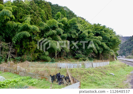 田地設有圍籬以防止害蟲 田地設有圍籬以防止害蟲 112648537