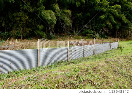 田地設有圍籬以防止害蟲 田地設有圍籬以防止害蟲 112648542