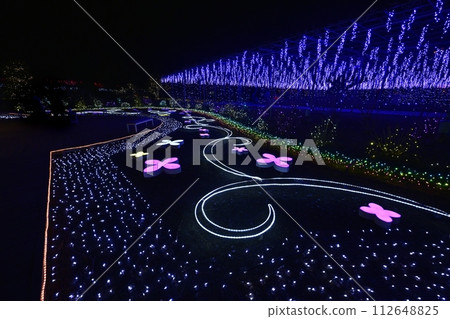 足利花卉公園的照明 足利花卉公園的照明 112648825