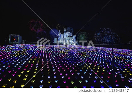 Illumination of Flower Castle at Ashikaga Flower Park Illumination of Flower Castle at Ashikaga Flower Park 112648847