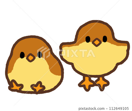 brown chick brown chick 112649105