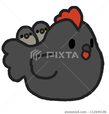 black chicken and chick black chicken and chick 112649106