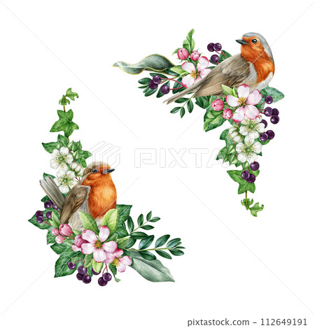 Vintage style spring decor set. Robin bird with flowers. Watercolor illustration. Hand drawn garden robin, spring flowers, elderberry, ivy leaves element. Springtime cozy decor isolated Vintage style spring decor set. Robin bird with flowers. Watercolor illustration. Hand drawn garden robin, spring flowers, elderberry, ivy leaves element. Springtime cozy decor isolated 112649191