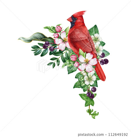 Vintage style spring time decor with garden bird, flowers. Watercolor illustration. Hand drawn red cardinal bright bird, garden flowers, berries, ivy, leaves element. Spring season painted cozy decor 112649192