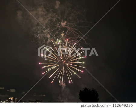 知多市新舞子海灘煙火大會 知多市新舞子海灘煙火大會 112649230