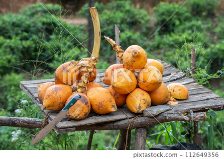Group of king coconut (known as Thembili) in local market of Sri Lanka. Group of king coconut (known as Thembili) in local market of Sri Lanka. 112649356