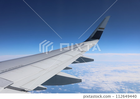 Wing 112649440