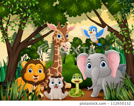 Cute wild animals cartoon in the jungle 112650132