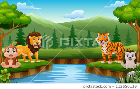 Cute wild animals cartoon in the jungle 112650139