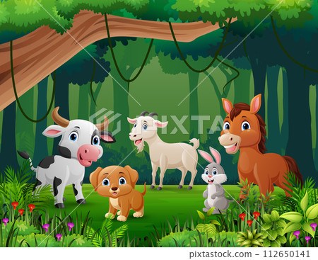 Cute farm animals cartoon in the jungle 112650141