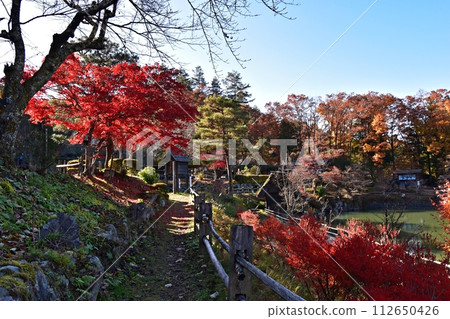 飛驒村的古民居在紅葉盛時改變了運氣 飛驒村的古民居在紅葉盛時改變了運氣 112650426